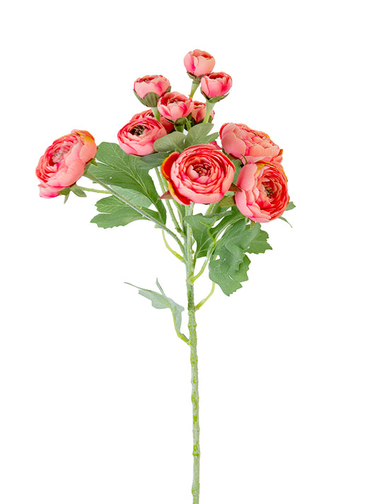 2280021CP    21" Ranunculus Spray Coral    Pink2
