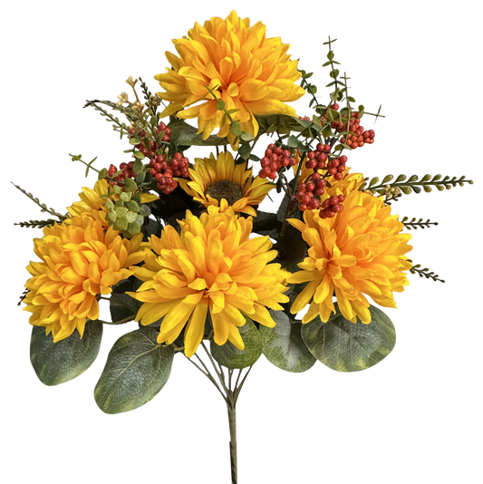 57529DGYW   H21"     Ball Mum Sunflower Berry Bush X14