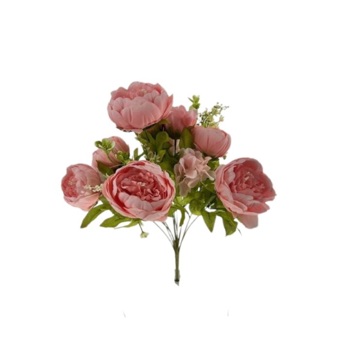 CS22400PK  X13 Passionate Peony Bush - Pink