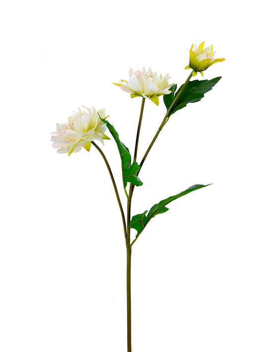 2225045CW    23" Dahlia Spray  Real Touch  Cream/White