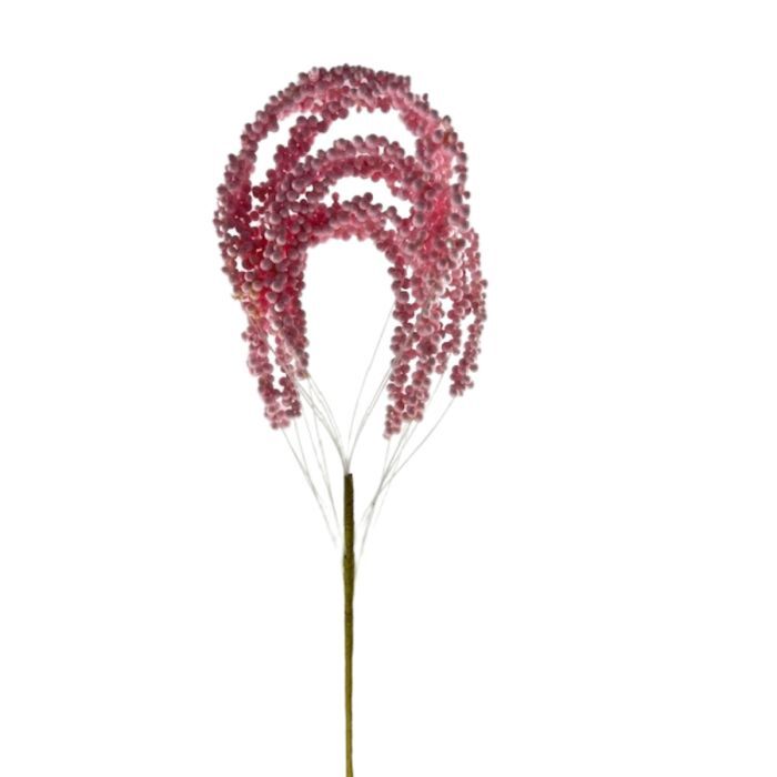 WF690    20"  Loop Berry Spray