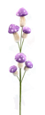 63304LV  26"  Mushroom Pick X6 Lavender