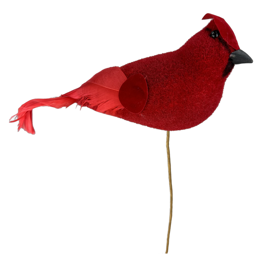 85962RD    H16XW9    Cardinal Pick   Red