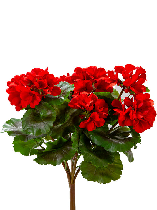 2285244RD  17"   UV   Protected Geranium Bush   Red