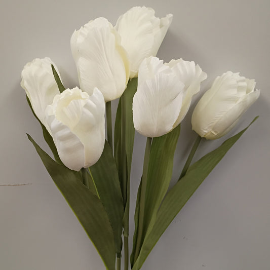 6051-W   19"   Parrot Tulip BushX6  White