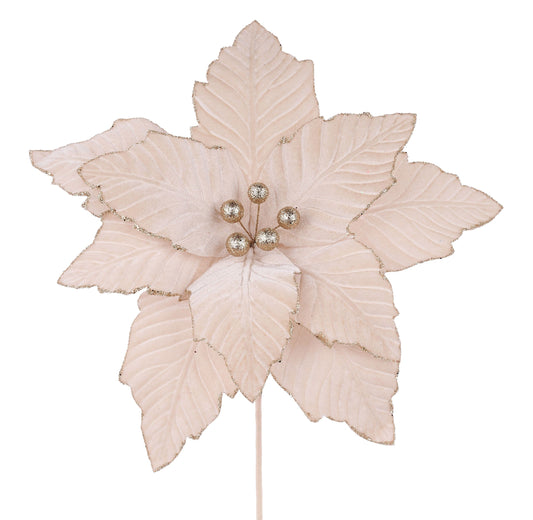 XS401132   12.5"Dia Velvet Poinsettia, 10.5"L Stem   Champagne