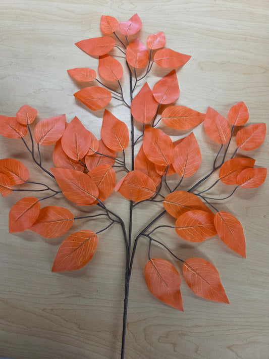CS21010       Ficus Spray       Orange